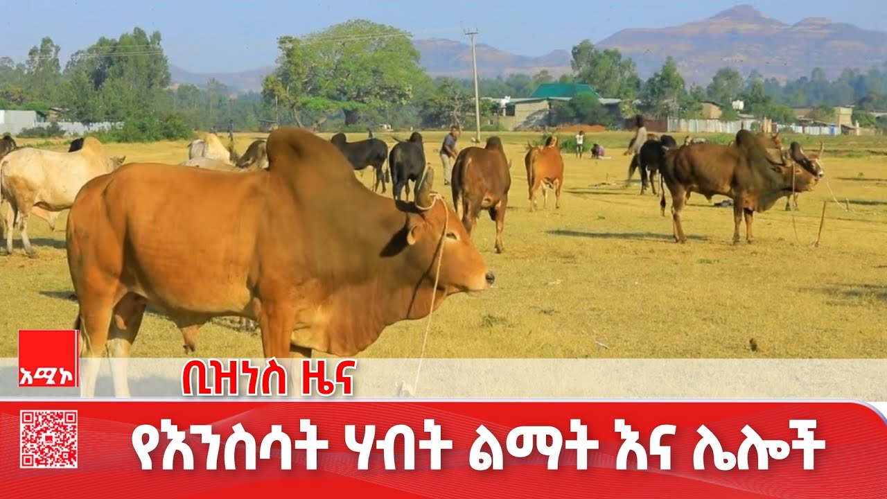 ቢዝነስ ዜና: የካቲት 16/2018 ዓ.ም (አሚኮ)