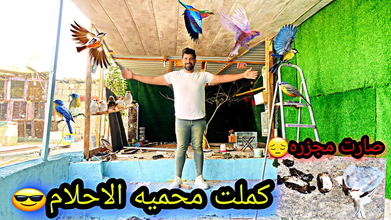 فيديو المنتظر 😁كملنه المحميه
