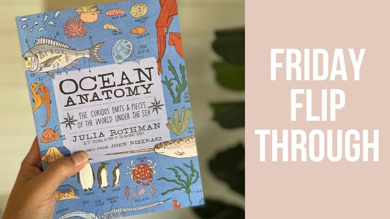 Ocean Anatomy by Julia Rothman | book flip through