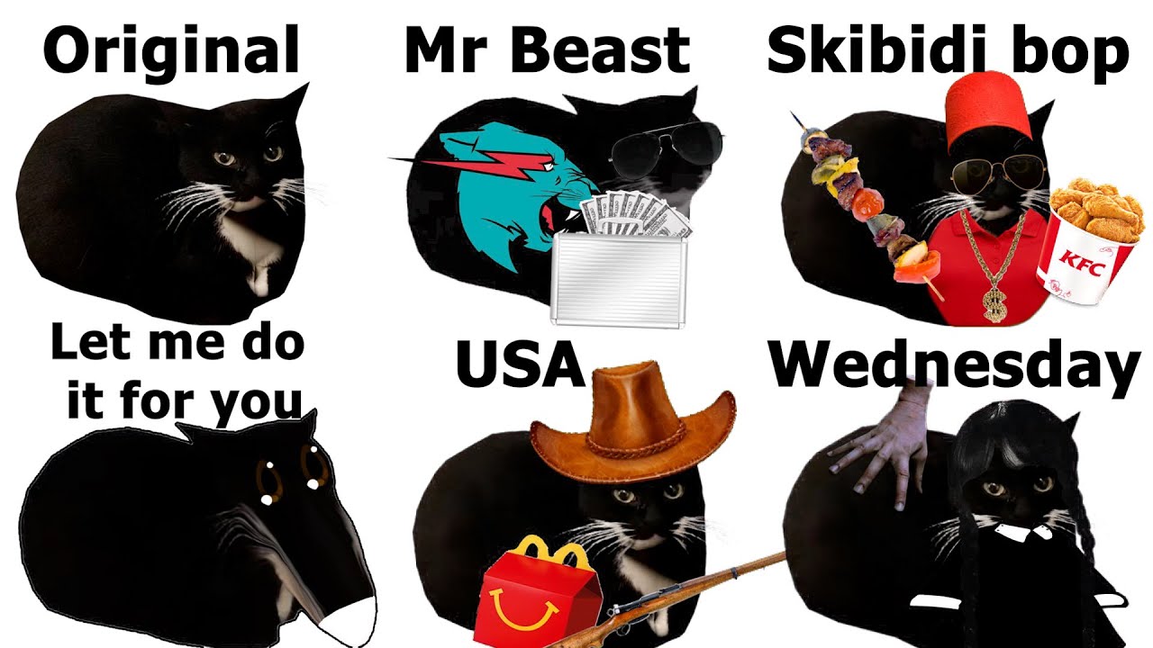 The best versions of Maxwell Cat