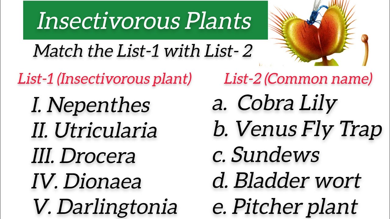 MCQs from Insectivorous Plants l Competitive Botany l