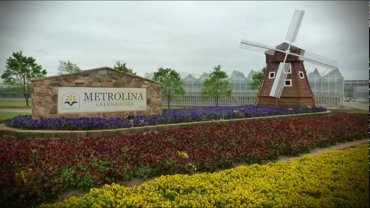 Metrolina's fast new transplanter