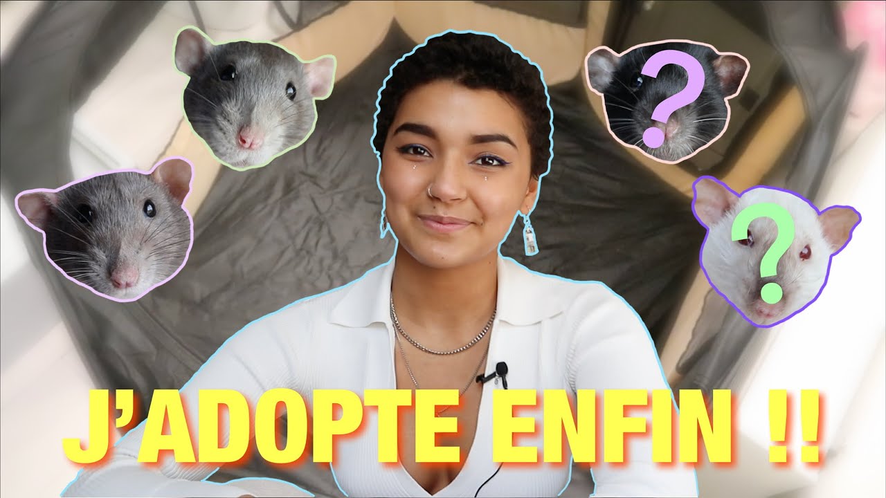 J'ADOPTE DES NOUVEAUX RATS !