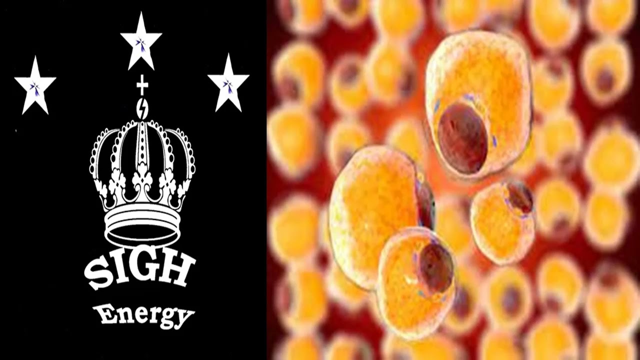 Fat Transfer EXTREMELY POWERFUL!!! (Energetically Programmed)