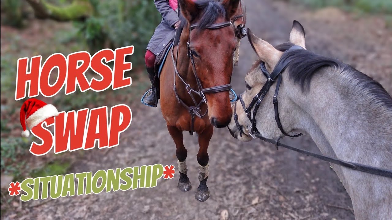 HORSE SWAP with Em | Addie Meets Enzo 🎥 Insta360 X4