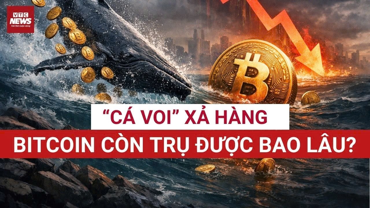 Sốc: “Cá voi” xả hàng, nhà đầu tư hoảng loạn: Bitcoin còn trụ được bao lâu? | VTC News