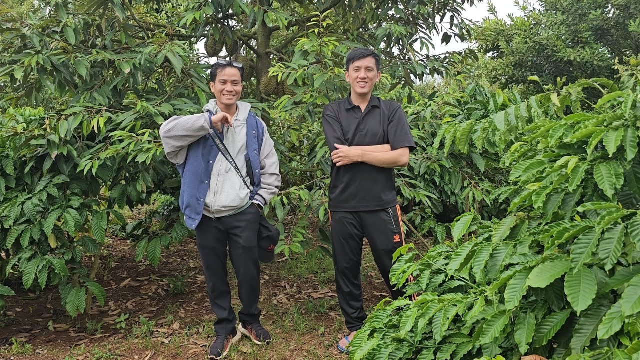 Vườn sầu nhà Y Garp