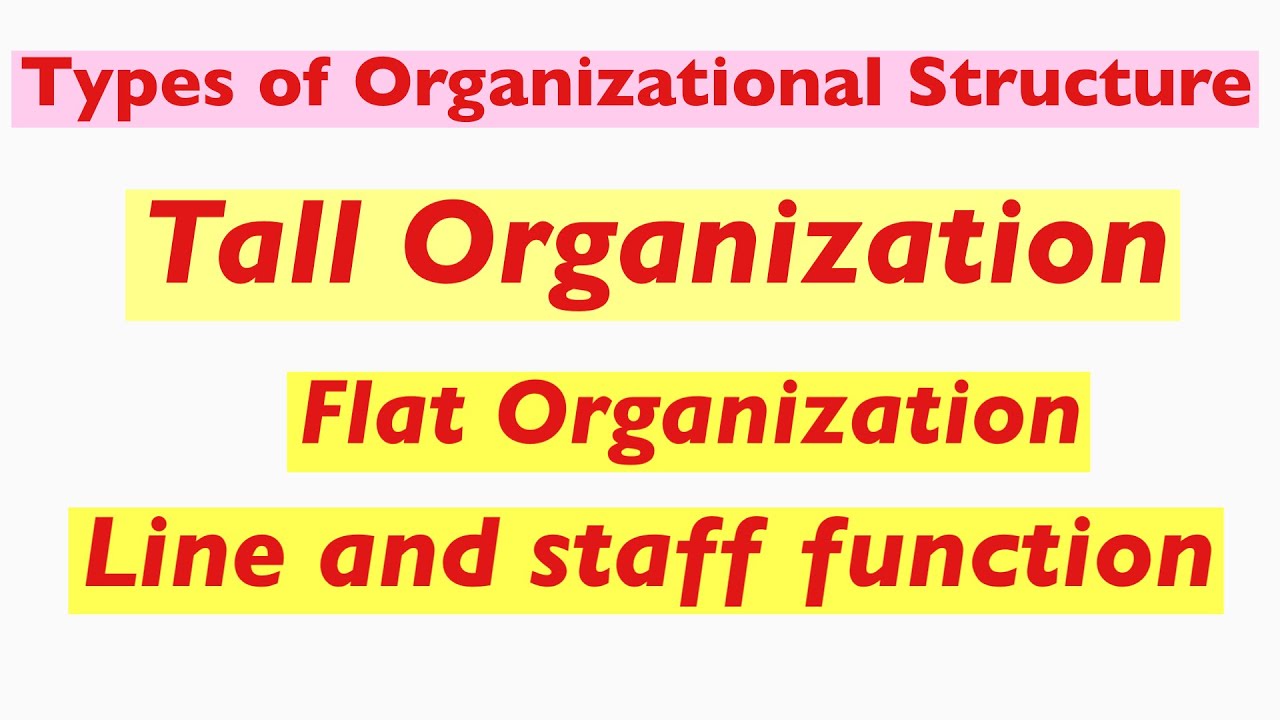 Types of Organizational Structure | Tall and Flat Structure