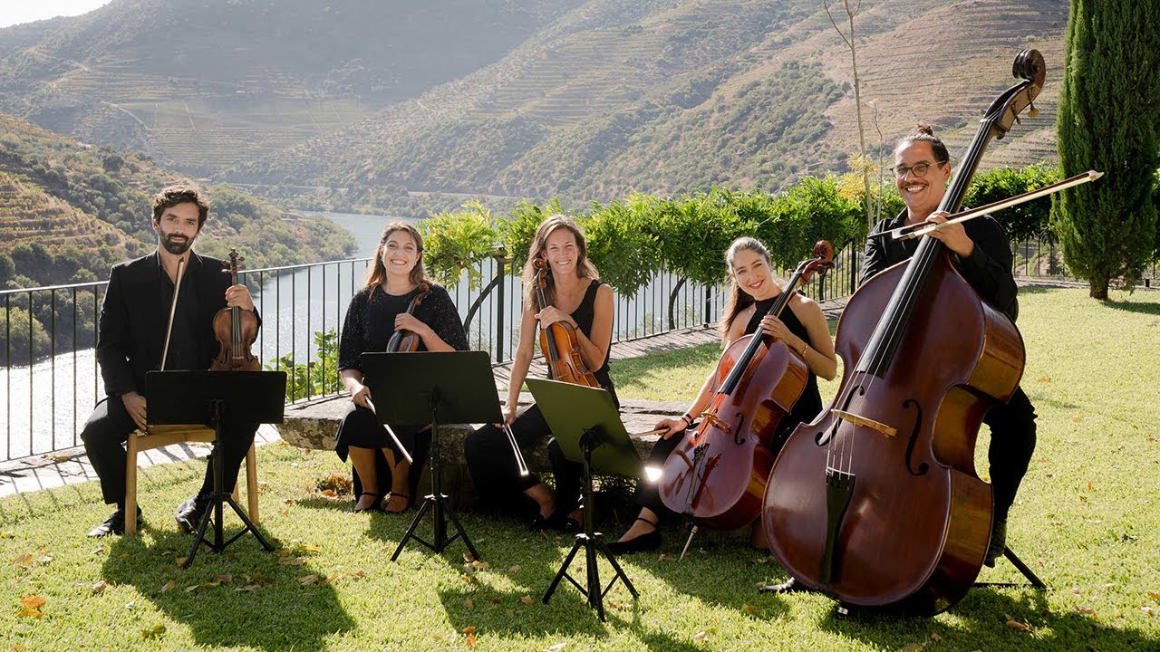 Graham's x Orquestra do Norte | A Harvest Performance at Quinta dos Malvedos