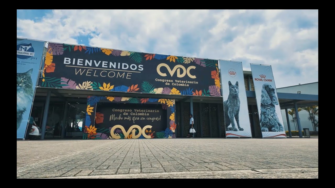 CVDC 2024