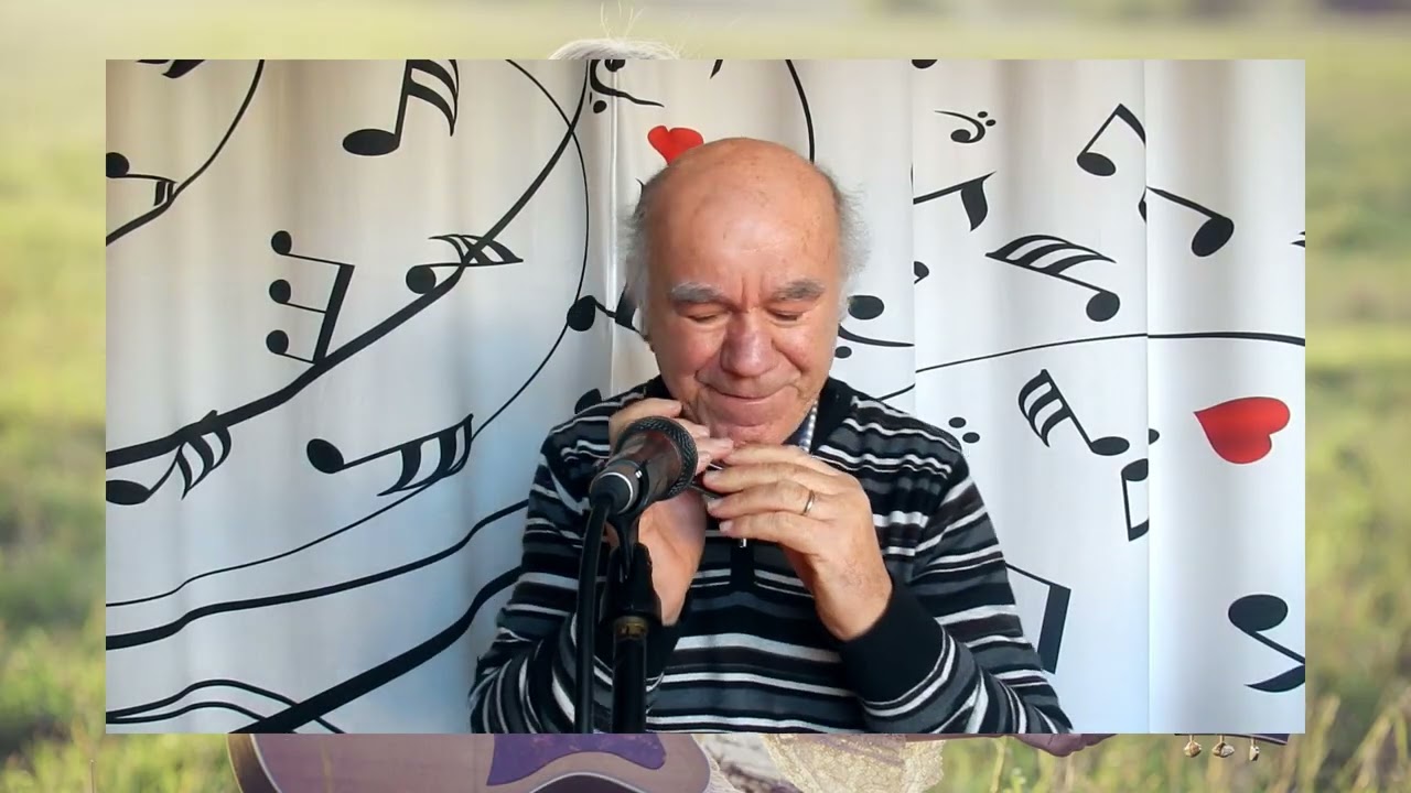 Una bambolina - Harmonica