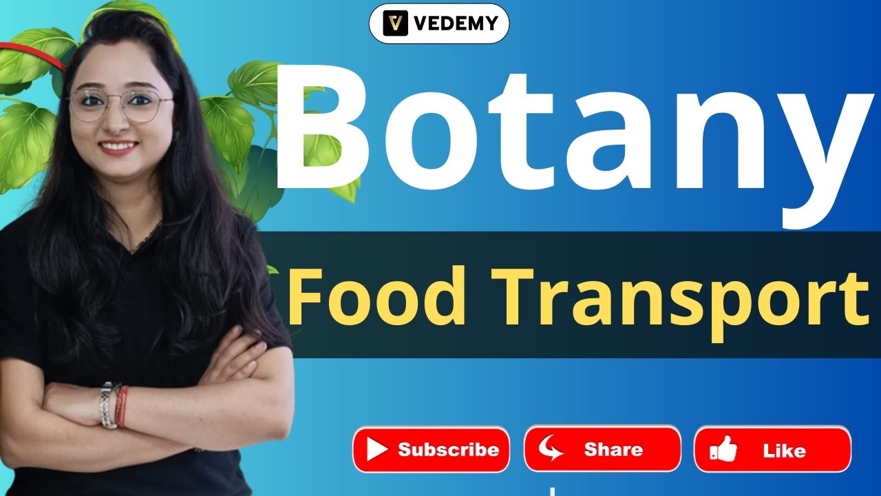 Food Transport | Plant Physiology | Botany | Jyoti Kumari | CSIR | GATE | DBT | ICMR | ICAR | JAM |