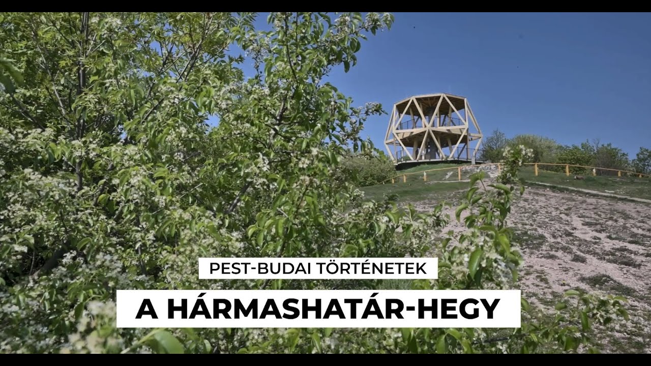 BUDA, ÓBUDA ÉS PESTHIDEGKÚT HATÁRÁN // Séta a Hármashatár-hegyen