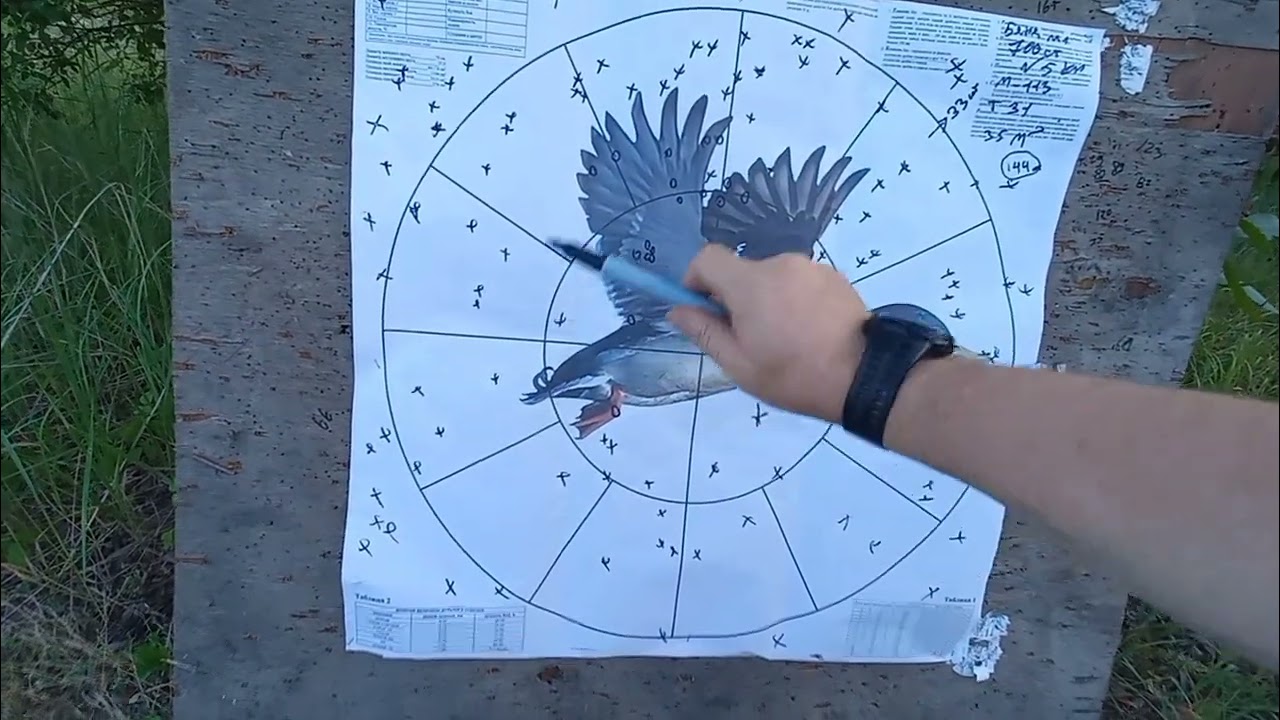 МЦ 21-12 750мм vs Benelli M1 S 90 700мм проверка на  кучность с полного чока .
