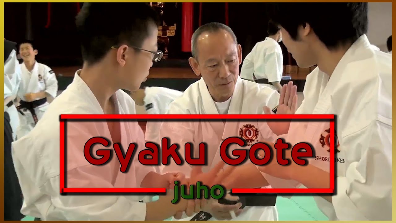 Gyaku Gote demonstration (juho). Techniques Shorinji Kempo . Sensei Arai. 武道少林寺拳法