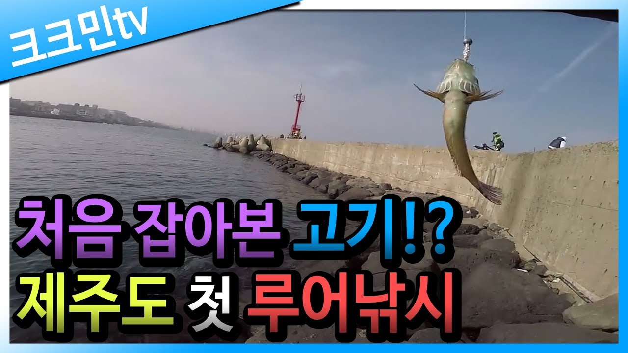 방파제&갯바위 루어 낚시(제주도 용담포구)
