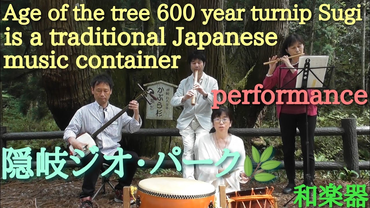 🌲樹齢600年かぶら杉【隠岐】浄土ヶ浦小唄♫  夢の共演💝 A Japanese folk song, traditional Japanese music container performance