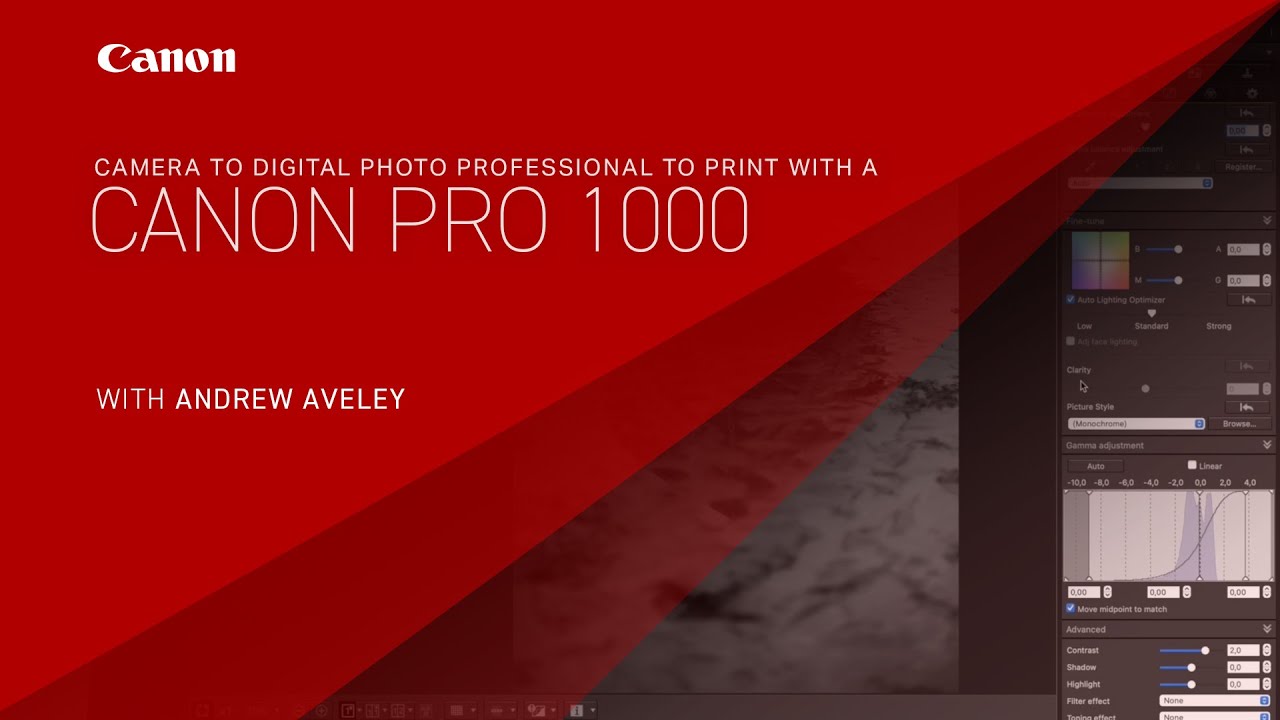 Camera to Canon Digital Photo Professional to Print with a Canon Pro 1000 printer