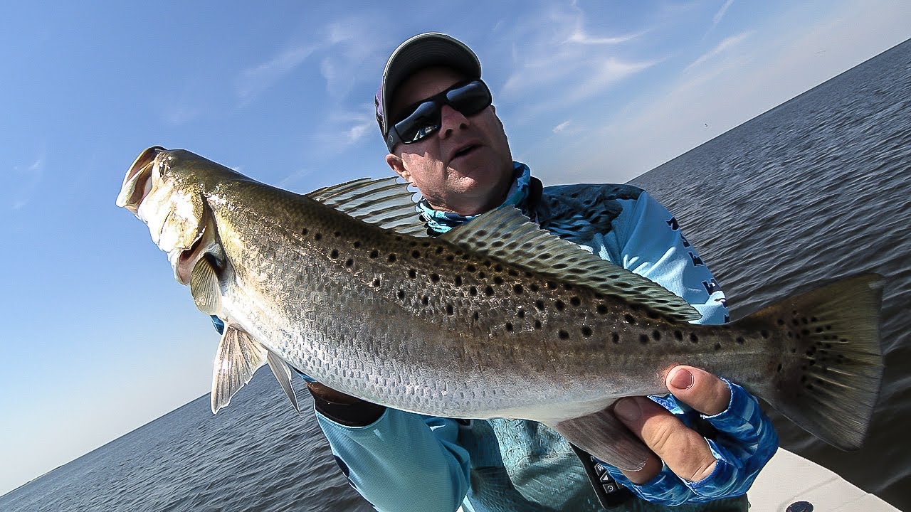 FOX Sports Outdoors SouthWEST #16 - 2019 Cat Island Mississippi Speckled Trout Fishing
