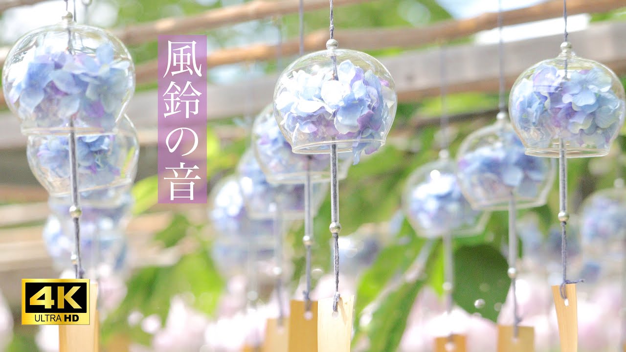 【環境音ASMR 4K 3h】風鈴の音 relaxing sound of wind chimes