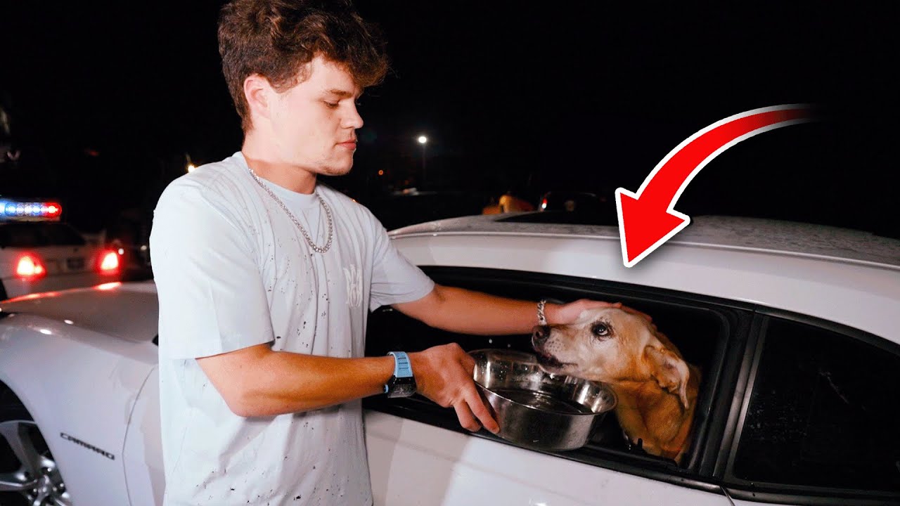 I Saved A Poorly Treated Dog...
