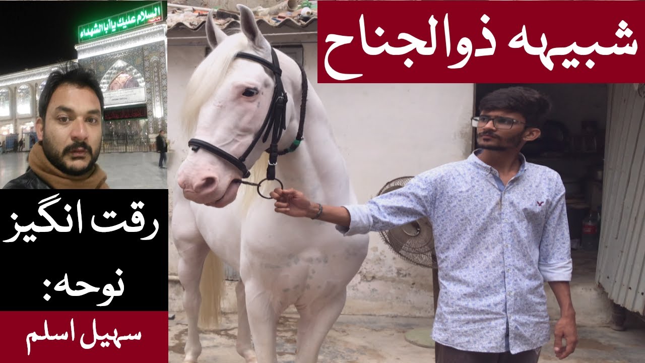 Best Zuljanah Of Pakistan | DulDul Danish Badshah | Ashura 10 Muharram | Murtajiz Sarkar E Zuljanah