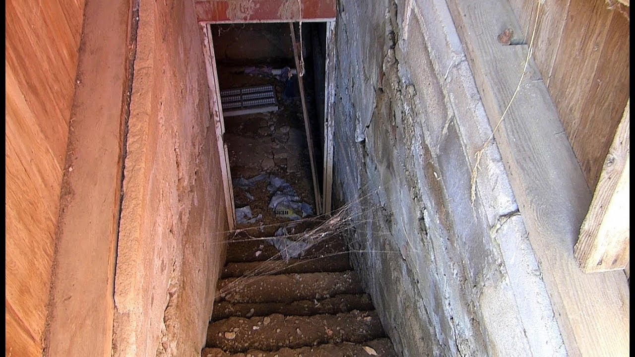 The Root Cellar