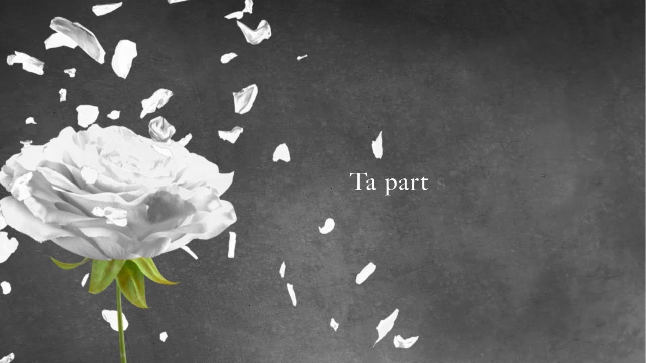 Gaëtan Roussel - Ta part (Lyrics Vidéo)