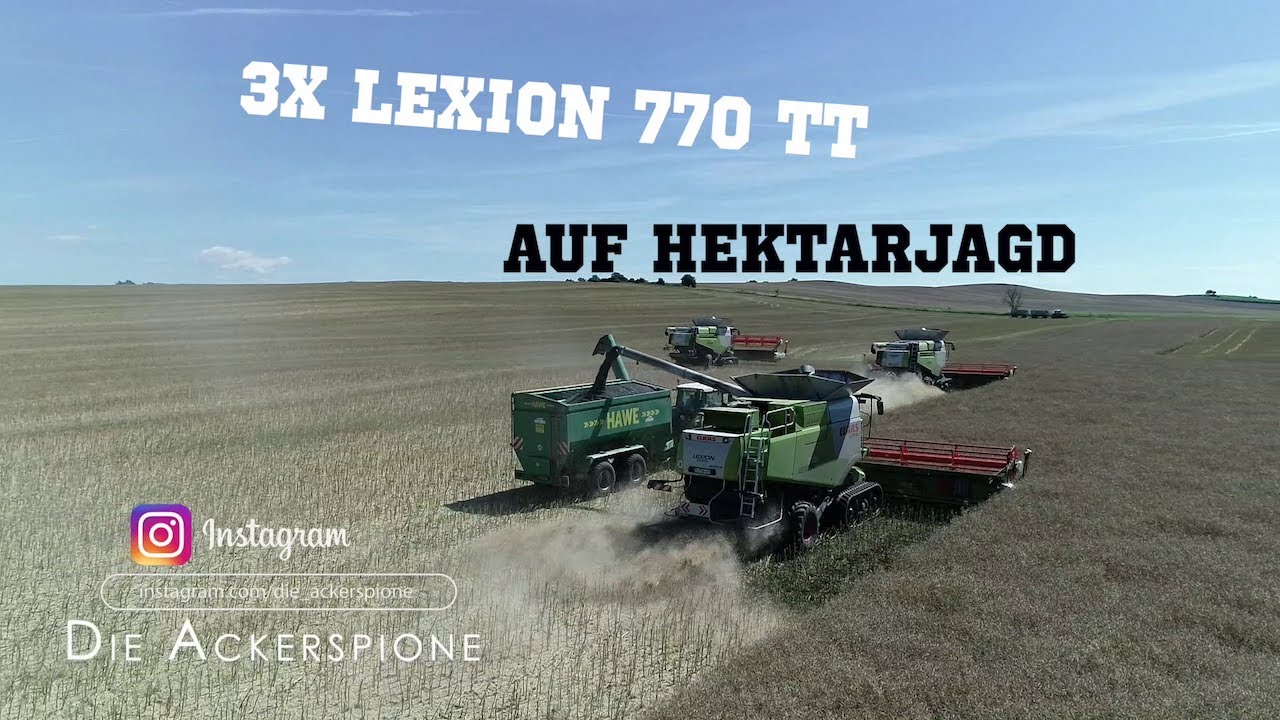 3x Lexion 770 TT auf Hektarjagd / Rapsernte 2020 bei Gut Panker