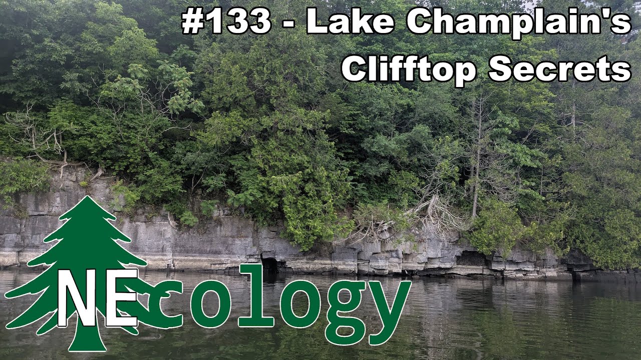 NEcology #133 - Lake Champlain's Clifftop Secrets