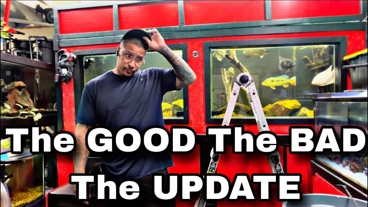 THE GOOD, THE BAD, THE UPDATE!!