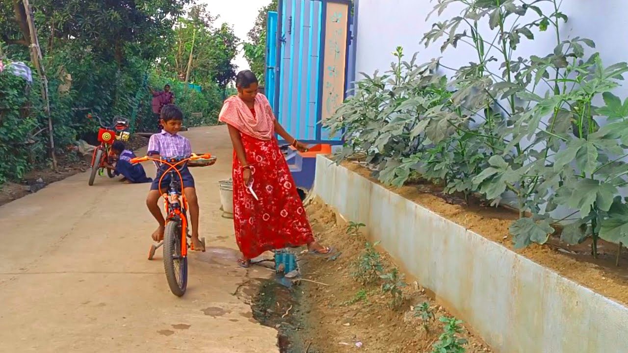 ఈరోజు 3 రకాల కూరగాయలు చేతికి వచ్చాయి😊😊