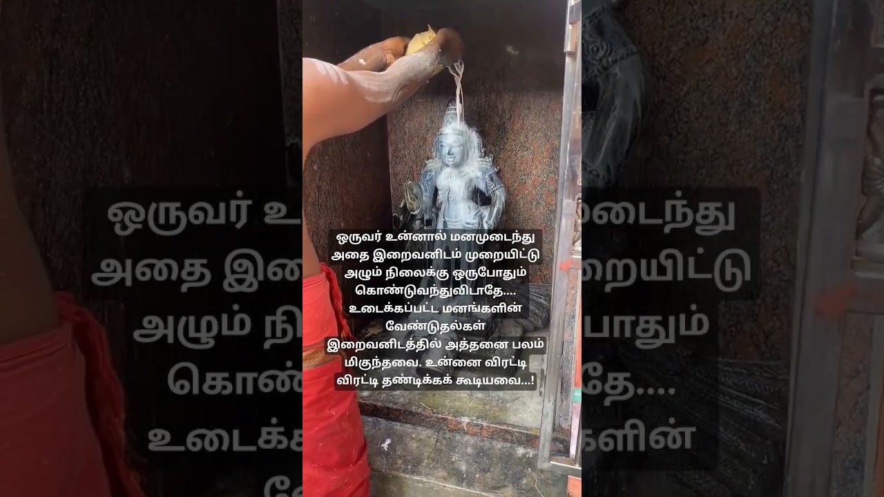 Om Muruga Saranam 🙏 #lordmurugan #murugan