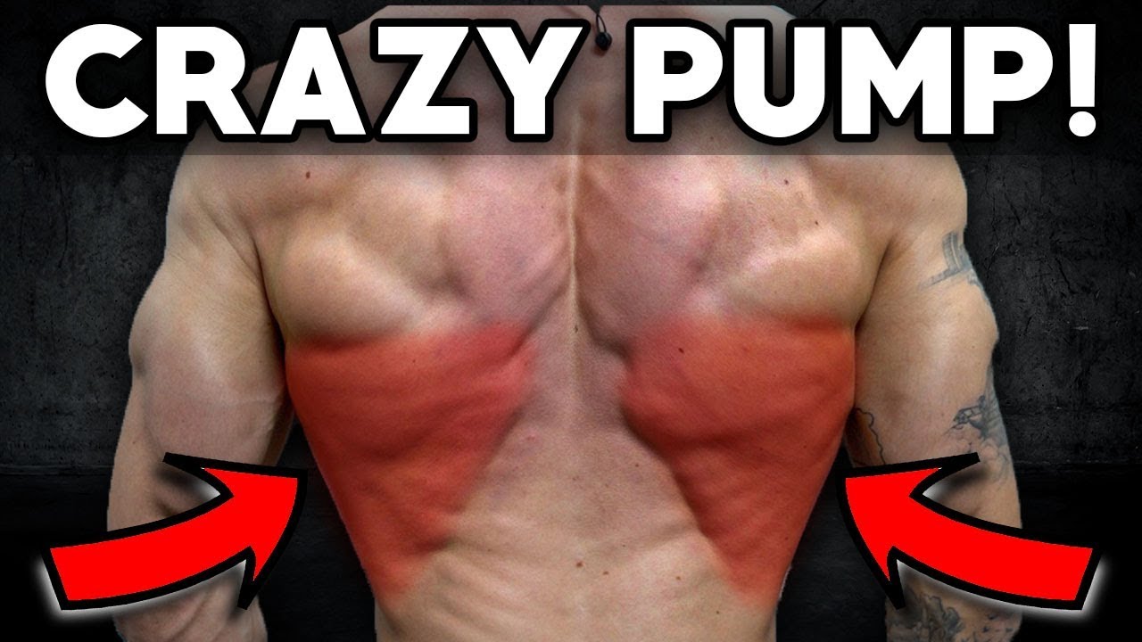 Insane Back & Bicep Workout (Crazy Pump!) | V SHRED