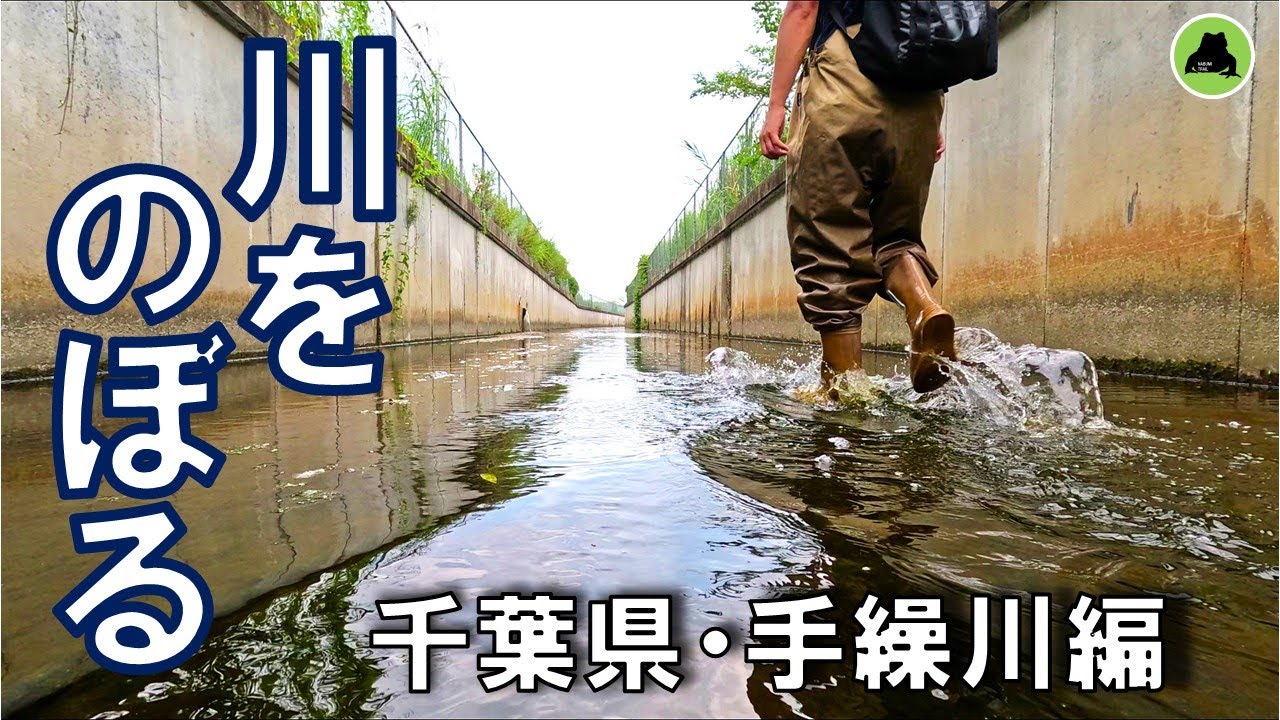 知られざる川を歩く｜手繰川 全域踏破の10km【佐倉・四街道】