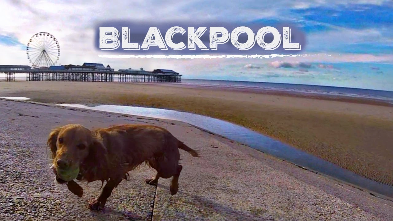 Blackpool - England (2019)