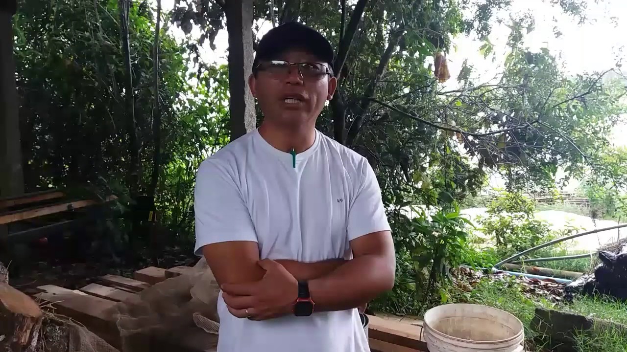 Como fazer bokashi, adubo orgânico