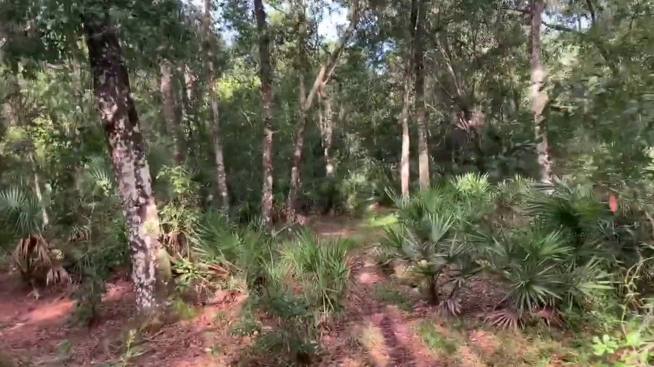Hillsborough River State Park Primitive Campground