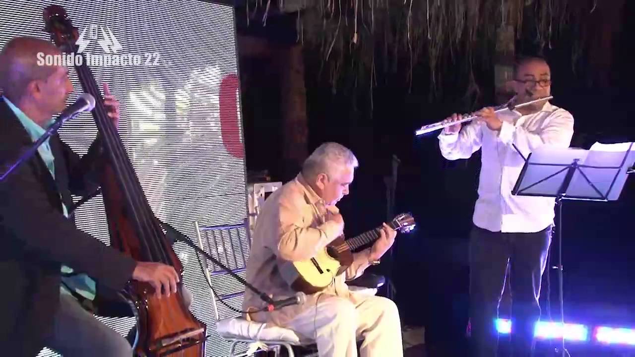 Ensamble Gurrufio De Conde a Principal