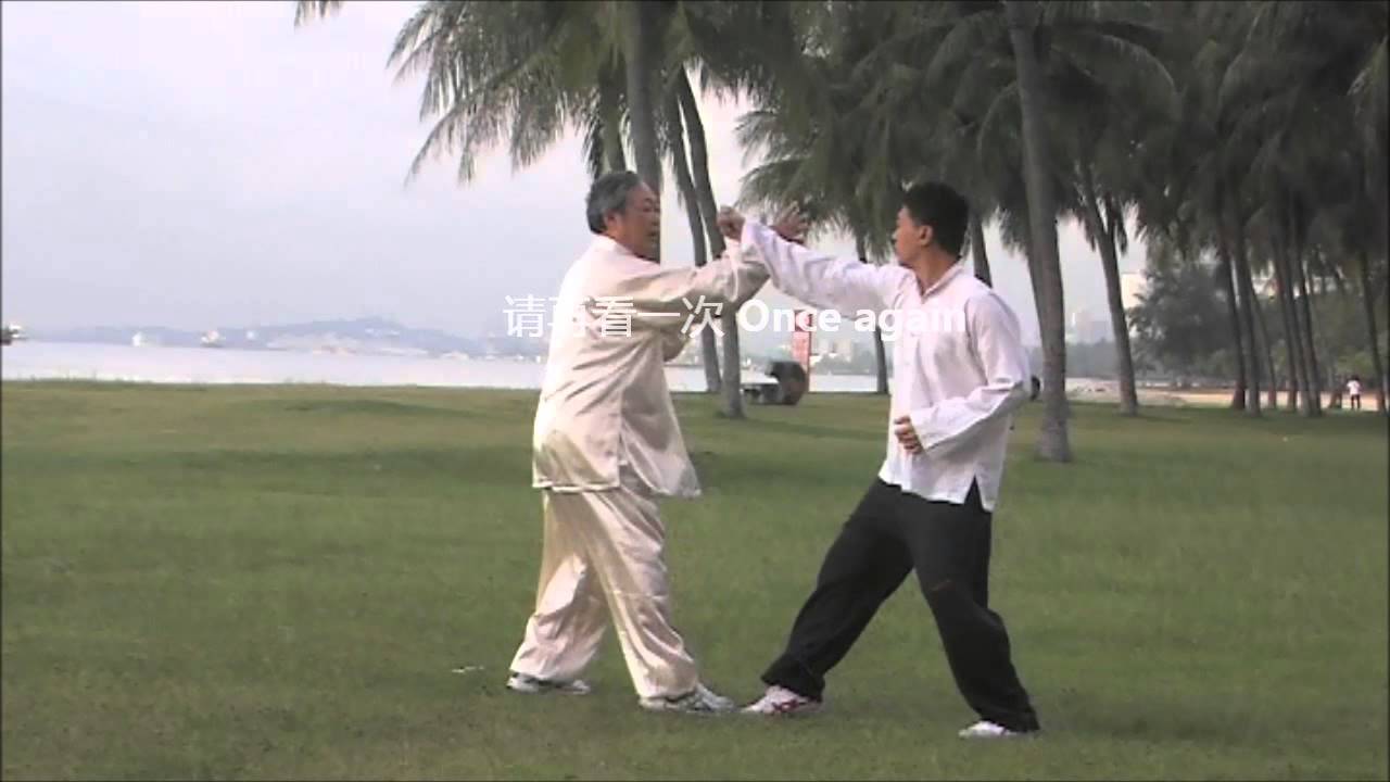 孙氏太极拳应用法 Sūn Style Taiji Quan Applications