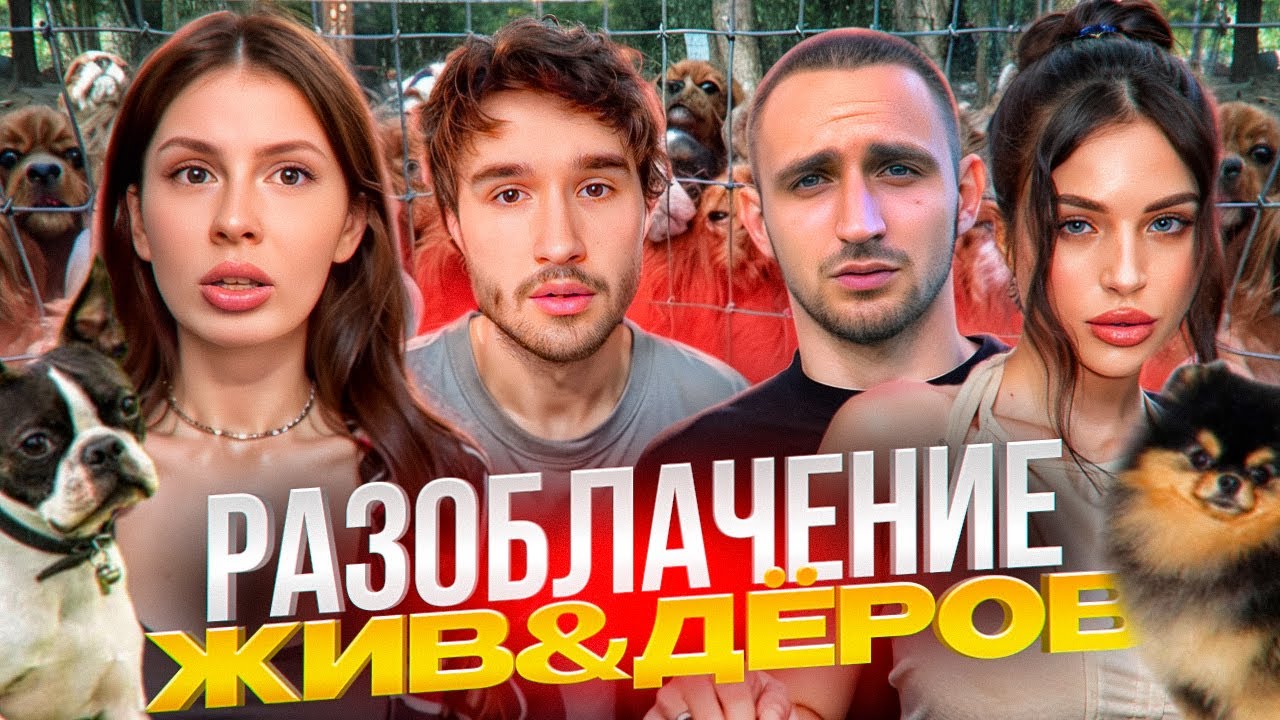 ЧТО СЛУЧИЛОСЬ С НАШИМИ ПИТОМЦАМИ? Кореш и Вишенка Про ситуацию с питомником // Ft. Адель, Литвин