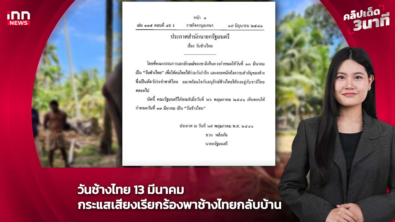 วันช้างไทย 13 มีนาคม  กระแสเสียงเรียกร้องพาช้างไทยกลับบ้าน : 13-03-69 | คลิปเด็ด