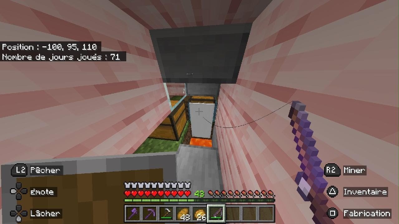 On vous présente notre survie caché