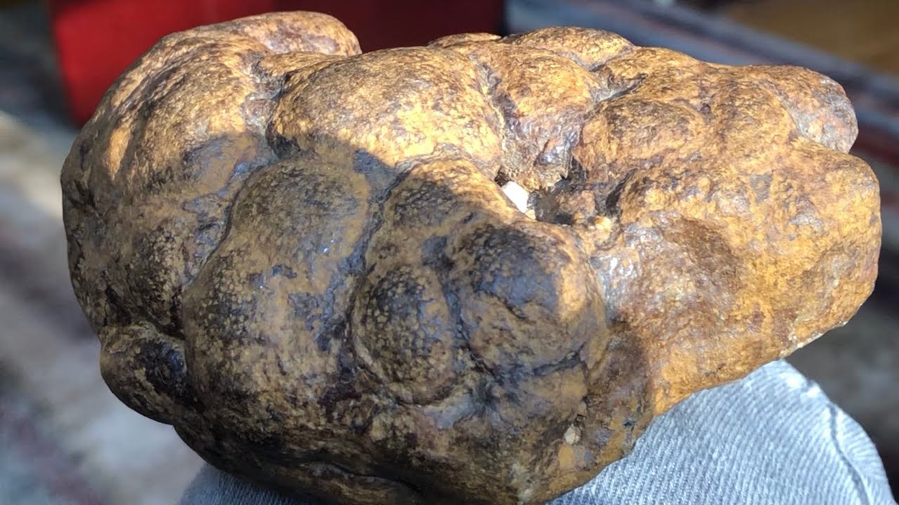Very old poop.  Coprolite From Arcadia Valley Missouri area