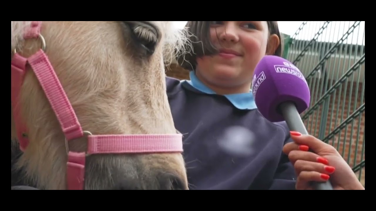 Dinky Ponies feature on @BBCNewsroundOfficial