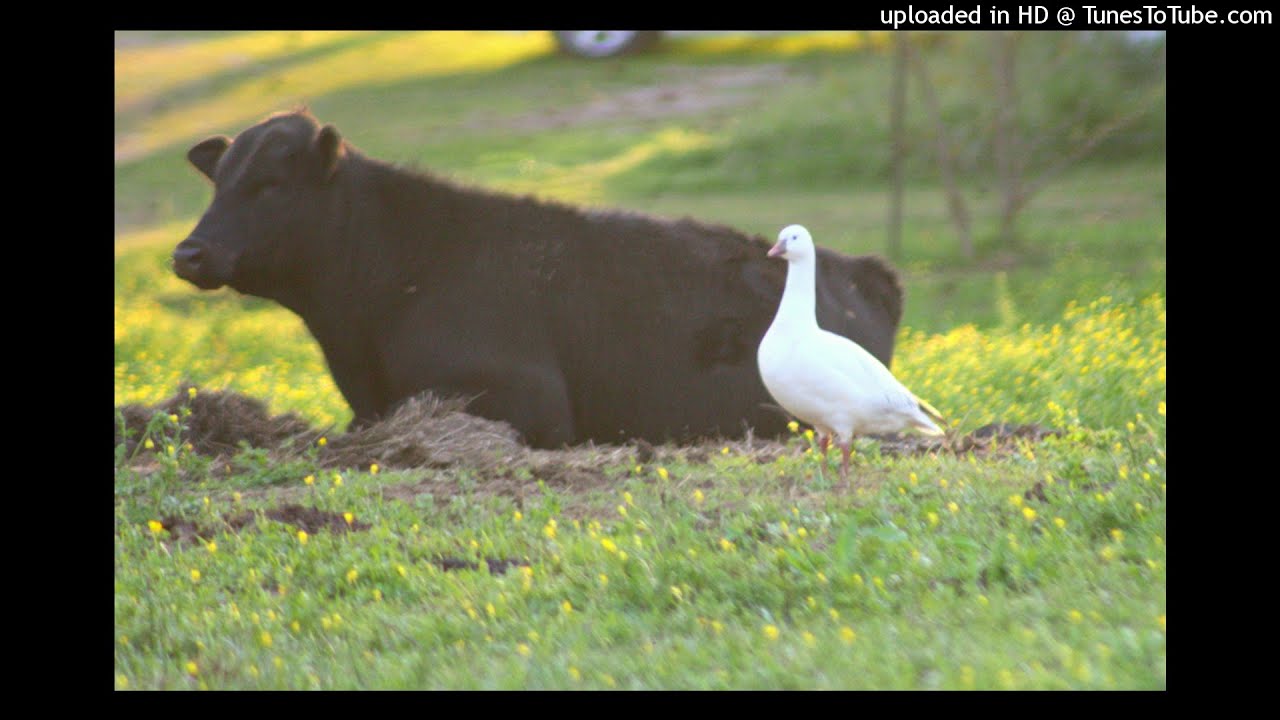 (FREE) LIEU x LEI TYPE BEAT 