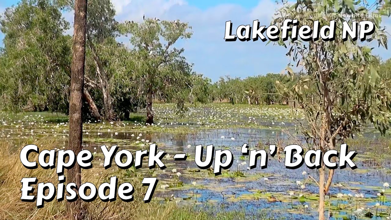 CAPE YORK EP 7 - Lakefield National Park