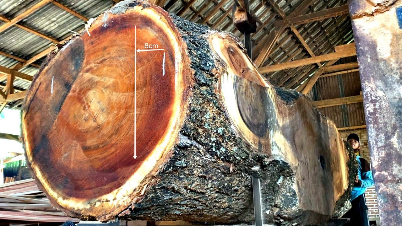 Dangerous Woodworking Factory - Split Huge Monkey pod Wood into thick Boards for Modern Tables