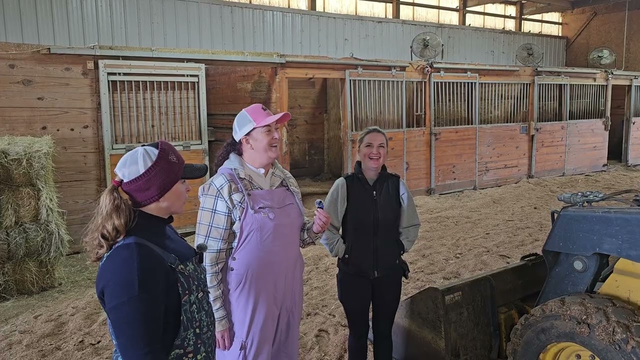 Фермерское оборудование в конюшнях Moctezuma | Barn Besties