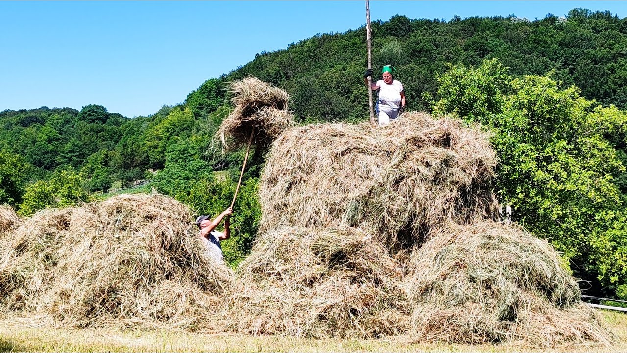 How do people live in Romanian alpine villages! The last shepherds in a Carpathian village